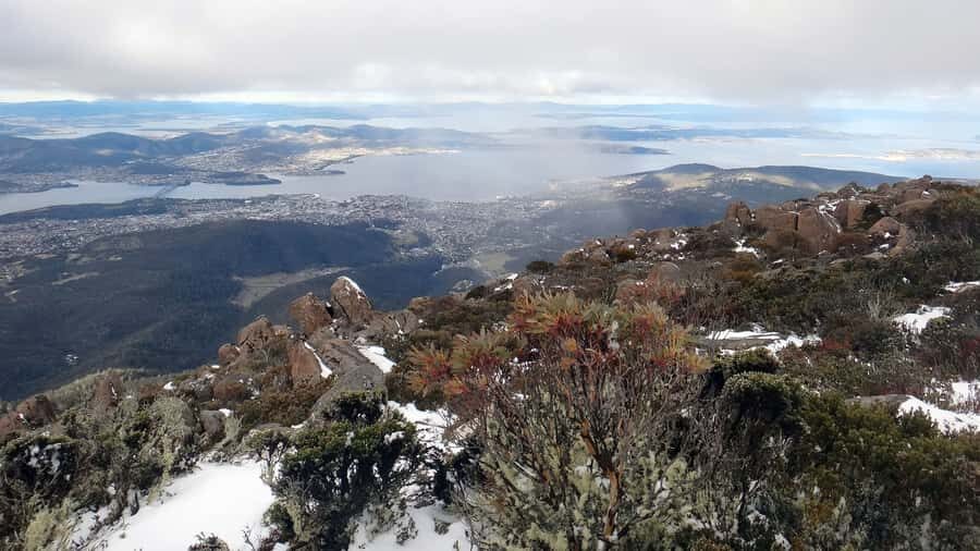 Kunanyi & Mt Wellington Explorer Bus: One-Way Bus Pass - Wellington Park Trails: Choose Your Path, Not a Single Script