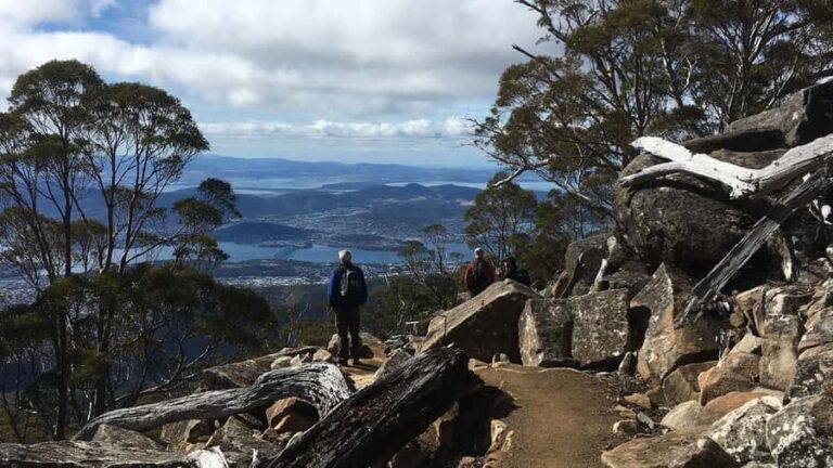 Kunanyi & Mt Wellington Explorer Bus: One-Way Bus Pass - What the English Commentary Does for You