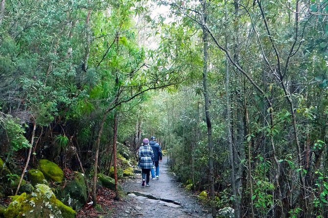 kunanyi/Mt Wellington Explorer Bus - One Way Tour - Key takeaways before you go
