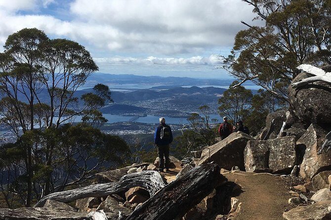 kunanyi/Mt Wellington Explorer Bus - One Way Tour - How the guides make the ride practical (and yes, they notice wildlife)