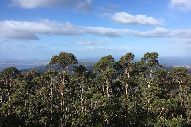kunanyi/Mt Wellington Explorer Bus - One Way Tour - Logistics that matter on the day: where you meet and what to bring