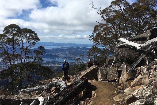 kunanyi/Mt Wellington Explorer Bus- Return Tour (2.5 hours) - Using your 30 minutes at the top like a pro