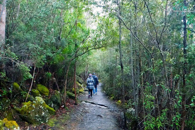 kunanyi/Mt Wellington Explorer Bus- Return Tour (2.5 hours) - Weather and comfort: the honest part of Mt Wellington