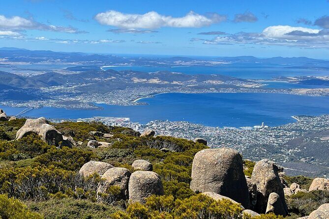 kunanyi/Mt Wellington Explorer Bus- Return Tour (2.5 hours) - Guides, commentary, and onboard perks that actually help