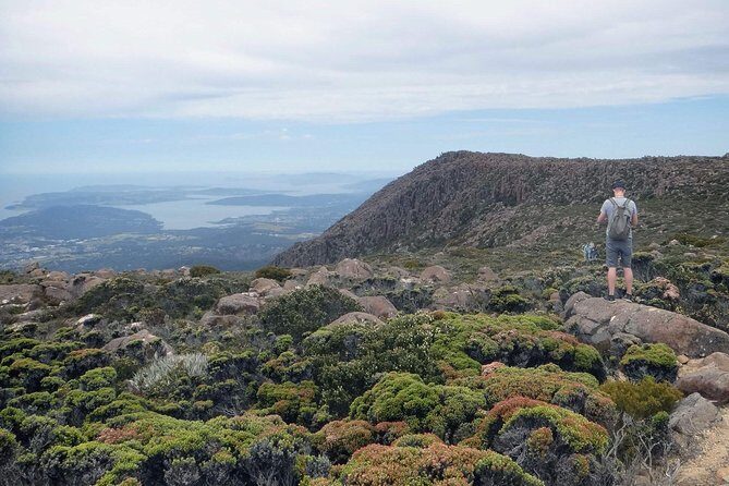 kunanyi/Mt Wellington Explorer Bus- Return Tour (2.5 hours) - Brooke Street Pier to Wellington Park: simple logistics with the right meeting spot