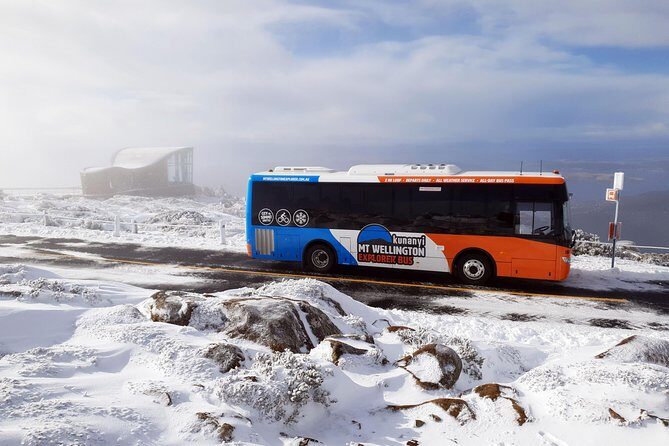 kunanyi/Mt Wellington Tour & Hobart Hop-On Hop-Off Bus - Planning Your Day Around Real Weather (and Not Getting Stuck)