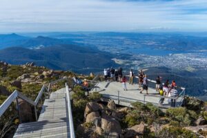 kunanyi/Mt Wellington Ultimate Experience Afternoon Tour - The 2½-Hour Rhythm: How the Afternoon Schedule Works