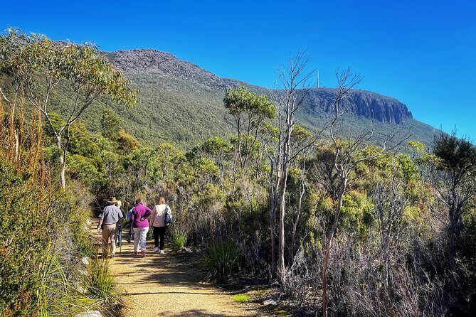 kunanyi/Mt Wellington Ultimate Experience Afternoon Tour - Getting Up Top: Observatory Time and the Western Wilderness Lookout