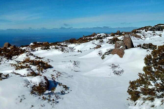 kunanyi/Mt Wellington Ultimate Experience Tour from Hobart - The Female Factory Historic Site: what you actually get (and what to budget)