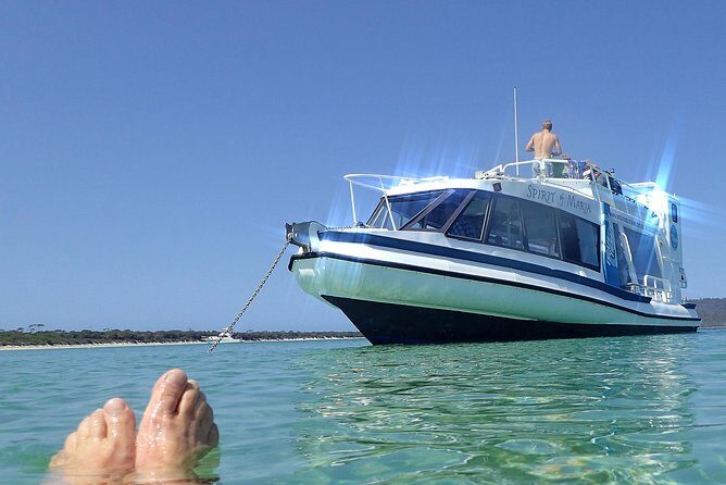 Maria Island Cruise and Guided Walk Day Tour with Lunch and Drinks - Price and what you’re really paying for in this Maria Island day