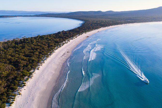 Maria Island Cruise and Guided Walk Day Tour with Lunch and Drinks - The 4-hour scenic cruise: wildlife odds plus real coastal scenery