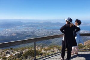 Mount Wellington Pinnacle 2 Hours Small Group Tour - Small-group comfort in an air-conditioned minibus