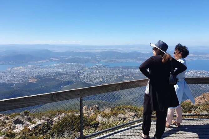 Mount Wellington Pinnacle 2 Hours Small Group Tour - Small-group comfort in an air-conditioned minibus