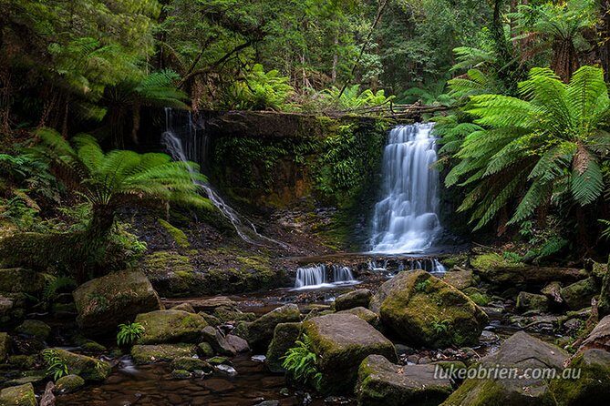 Mt Field and Styx Valley Photography Tour - Is This Tour Worth It at $222.73?