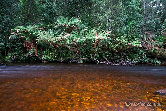 Mt Field and Styx Valley Photography Tour - Who This Tour Suits Best