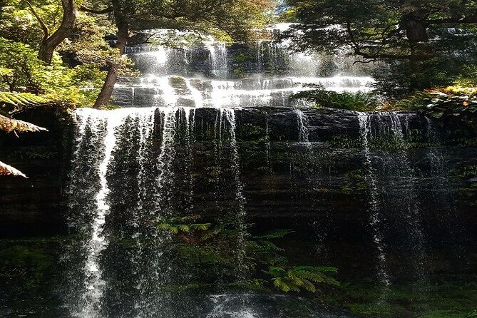 Mt Field National Park and Russell Falls from Hobart - Key things that make this tour work well