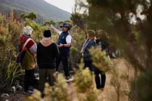 Mt Wellington Ultimate Afternoon Tour - Coach comfort from Brooke Street Pier (and why it helps)