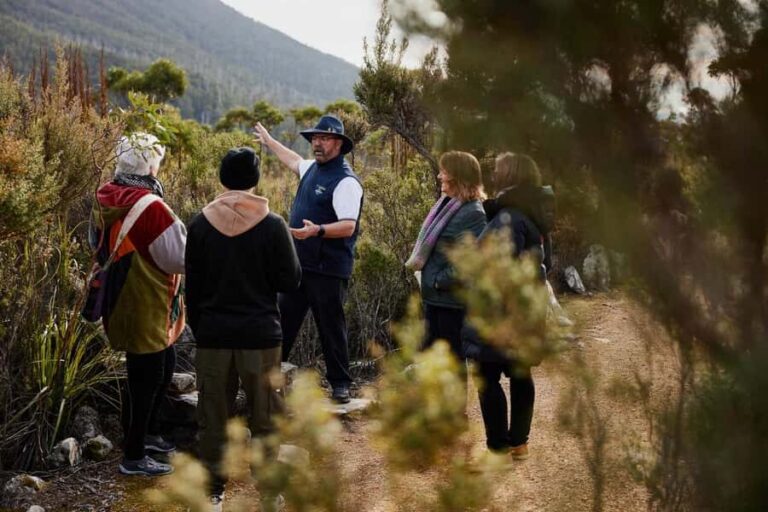 Mt Wellington Ultimate Afternoon Tour - Coach comfort from Brooke Street Pier (and why it helps)