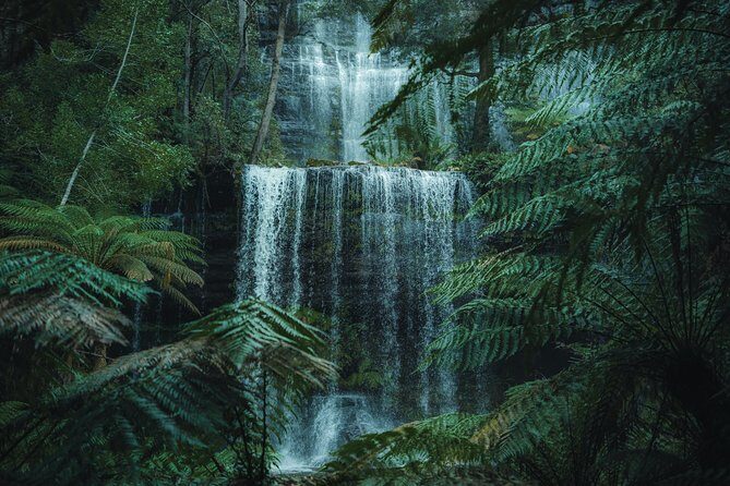 Peaks, Falls & Furry Locals: Mt. Field & the Derwent - Key highlights