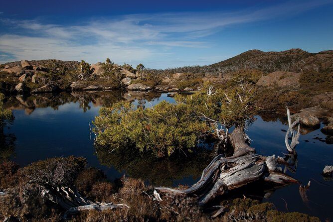 Peaks, Falls & Furry Locals: Mt. Field & the Derwent - Bonorong Wildlife Sanctuary: Furry Locals Up Close (and Sometimes Interactive)