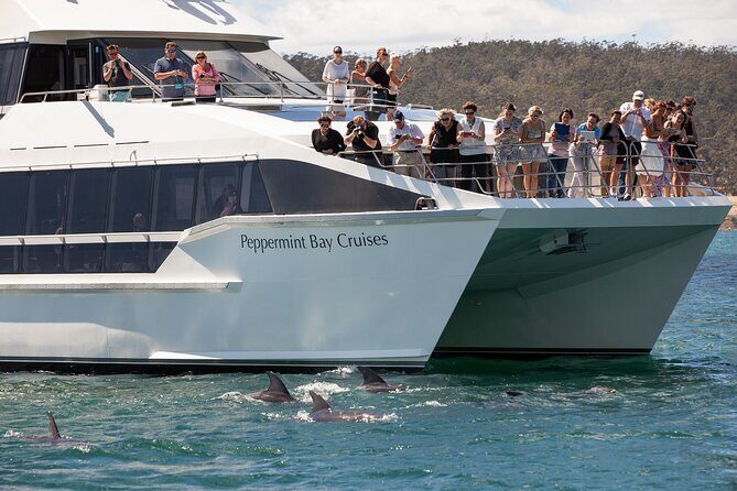 Peppermint Bay Cruise & Lunch - Derwent River to Peppermint Bay: what this day feels like