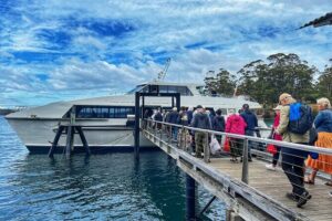Port Arthur Full-day Guided Tour with Harbour Cruise and Tasman National Park - Price and value: why $121.93 can make sense