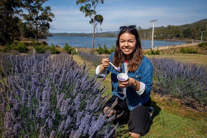 Port Arthur, Richmond and Lavender Active Day Tour - Morning drive to Pirates Bay and Eaglehawk Neck: scenery with a story
