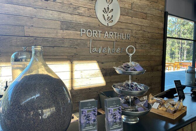 Port Arthur, Richmond and Lavender Active Day Tour - Guide style, comfort, and small-group pace (this is where reviews “land”)