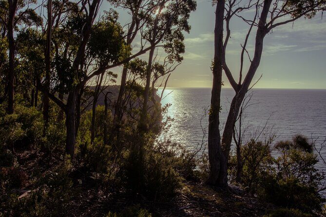 Port Arthur, Richmond and Tassie Devils Active Tour from Hobart - Price and value: what you’re paying for beyond the ticket