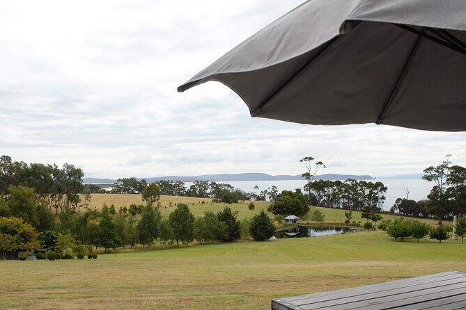 Private Bruny Island Discovery Tour - Why a private Bruny Island tour works better than a bus day