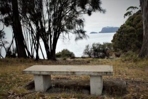 Private Bruny Island Discovery Tour - Route and timing: what a 6-to-9 hour day really feels like