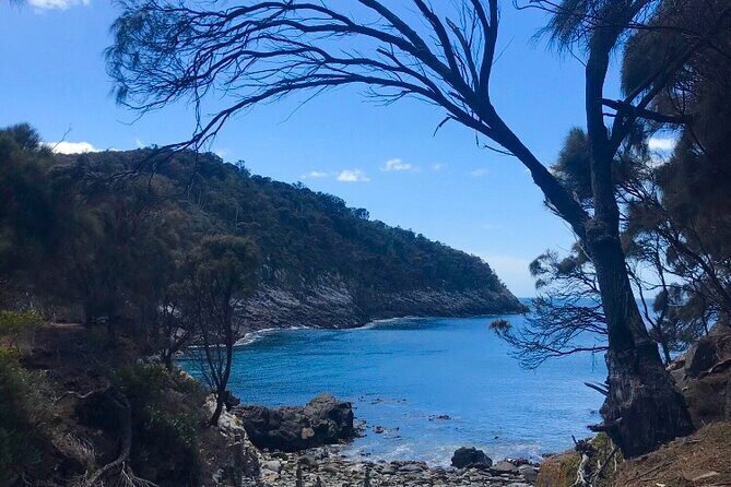 Private Bruny Island Discovery Tour - Stop 4: Adventure Bay—early stories, walk options, and coastline time