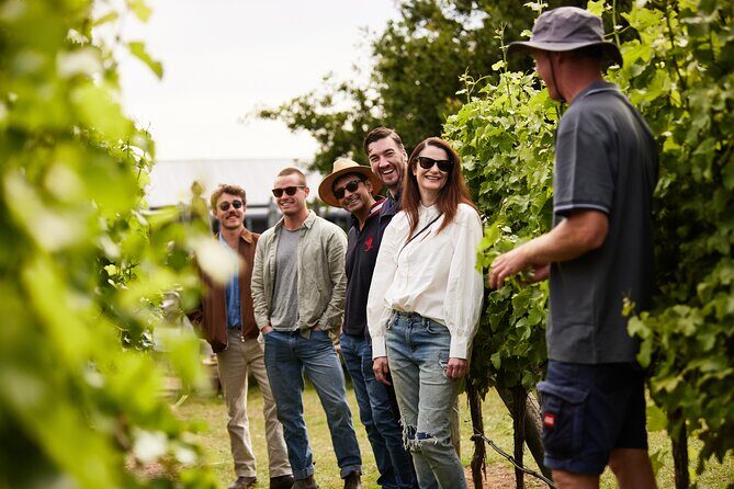 Richmond and Wine Tour - Pooley Wines at Belmont Lodge: heritage tastings without the fuss