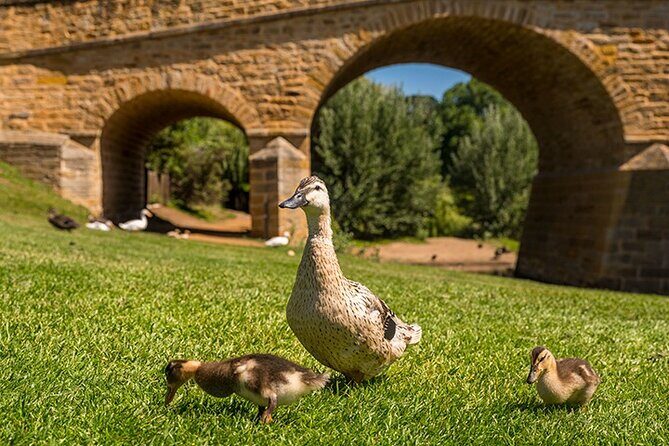 Richmond Historic Afternoon Tour from Hobart - The Coal Valley Drive Through Wine Country Views
