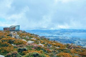 Shore Excursion: Hobart Wanderer - Meeting Point and Timing: How to Not Stress on Cruise Day
