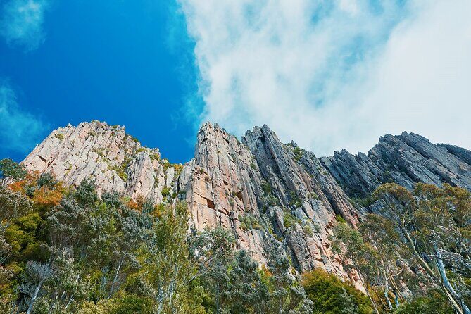 Shore Excursion: Hobart Wanderer - Mt. Wellington: The View That Changes Your Whole Day