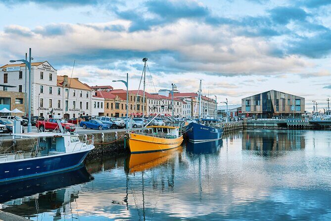 Shore Excursion-Hobart Wanderer - Best Fit: Who Should Book This Hobart Wanderer Tour