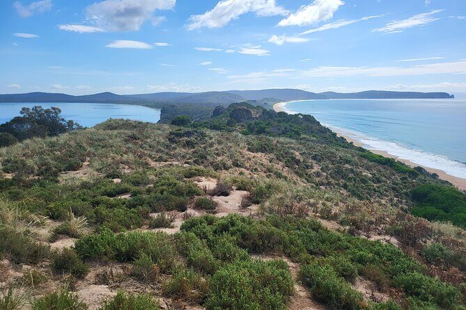 Signature Bruny Island Tour - Hobart & SE Tasmania - Key things to know before you go