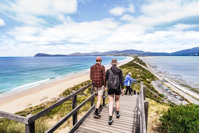Signature Bruny Island Tour - Hobart & SE Tasmania - Wine, oysters, and whisky: how the later stops change the mood