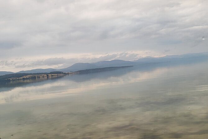 Signature Bruny Island Tour - Hobart & SE Tasmania - Practical tips that make the day smoother
