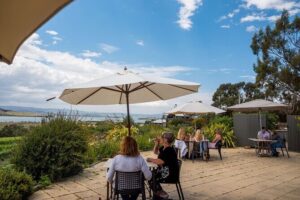 Signature Saturday Wine Tour - Small-Group Vibe: What “Up to 13” Feels Like
