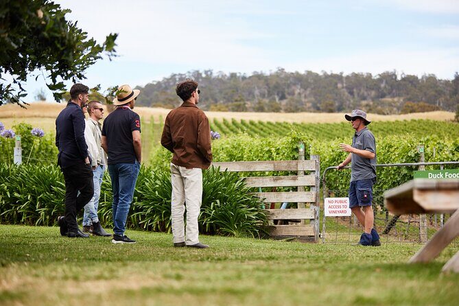 Signature Saturday Wine Tour - Coal Valley Vineyard: Views Over the Coal River and Pittwater