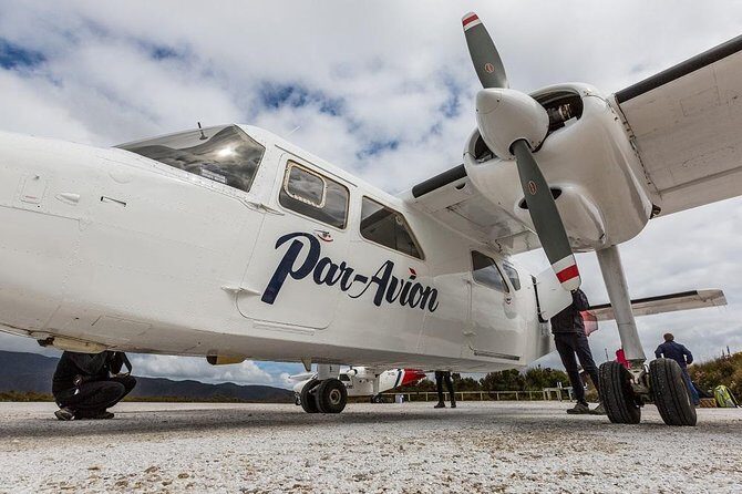 Southwest Tasmania Wilderness Experience: Fly Cruise and Walk Including Lunch - The bush walk in Southwest National Park: short, but not meaningless