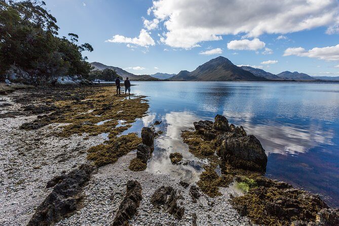 Southwest Tasmania Wilderness Experience: Fly Cruise and Walk Including Lunch - Lunch, morning tea, and the timing reality of a remote day