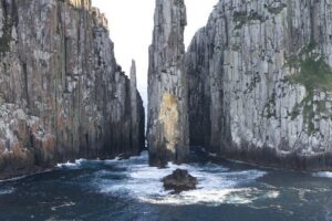 Tasman Island Cruises and Port Arthur Historic Site Day Tour from Hobart - Lunch and coffee/tea: what’s included and where it fits