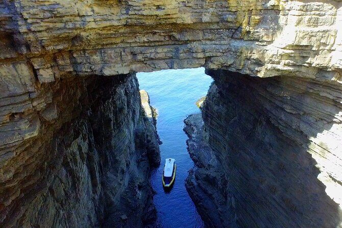 Tasman Island Cruises Day Tour from Hobart - The 3-hour eco-cruise from Eaglehawk Neck to Port Arthur: cliffs, caves, and wildlife spotting