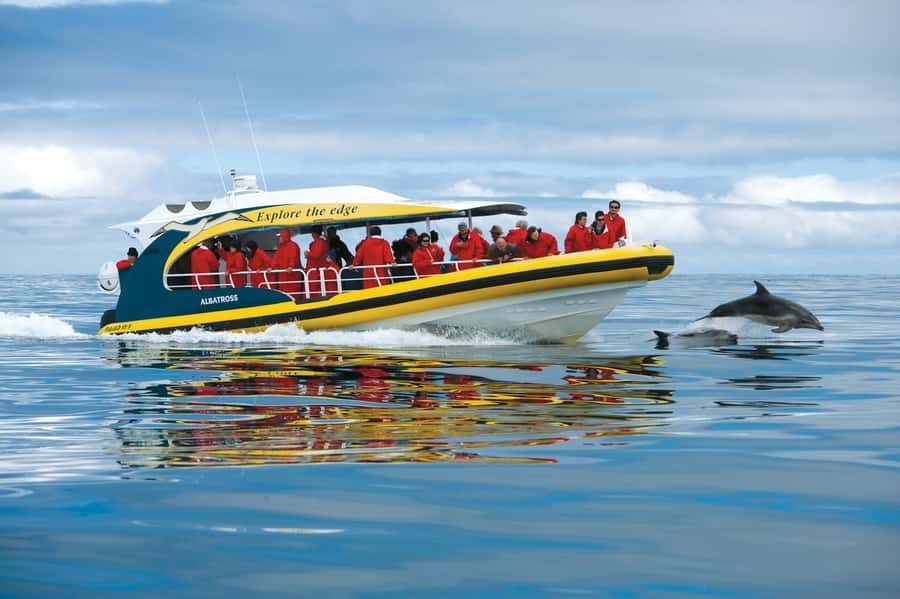 Tasman Peninsula Day Trip with Cruise & Devils from Hobart - The 3-hour wilderness cruise: Port Arthur to Eaglehawk Neck on a custom-built boat