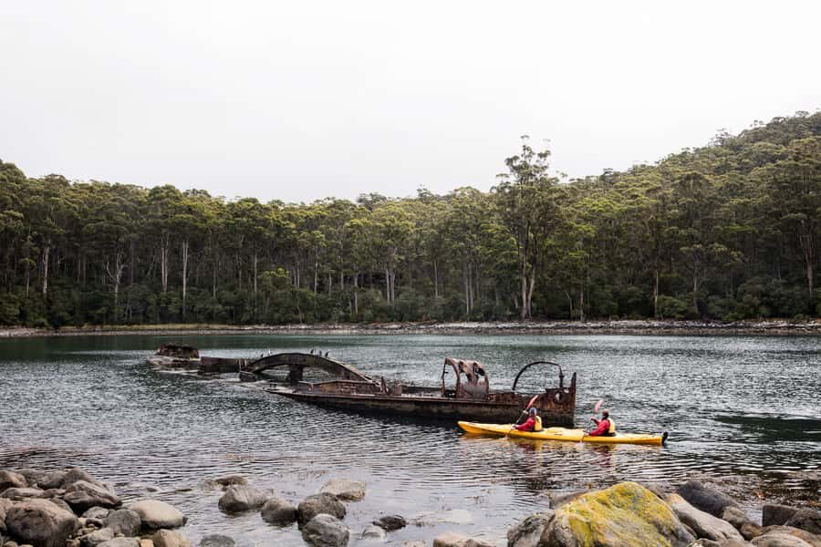 Tasman Peninsula Full-Day Sea Kayak Excursion - Key highlights you’ll remember