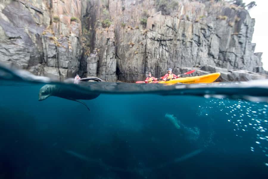 Tasman Peninsula Full-Day Sea Kayak Excursion - A sea-kayak day on the Tasman Peninsula: what you’re really doing