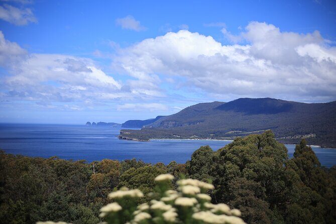 Tasman Peninsula Small-Group Guided Tour From Hobart - Tasman Bay National Park Lookout: your first “wow” with tea/coffee